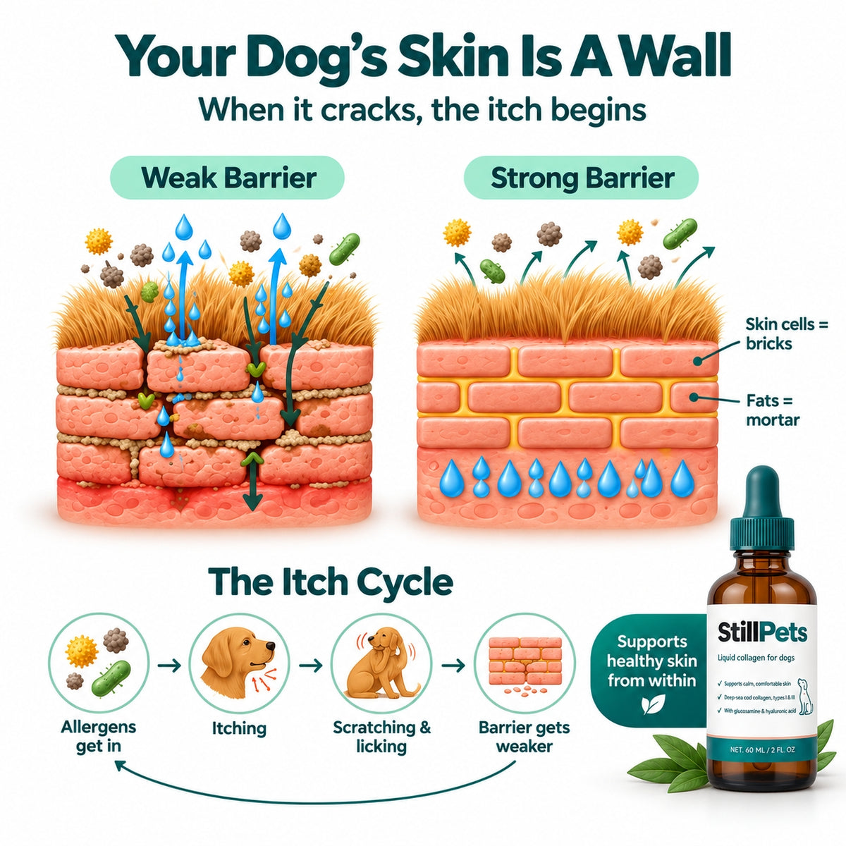 dog Collagen liquid drops