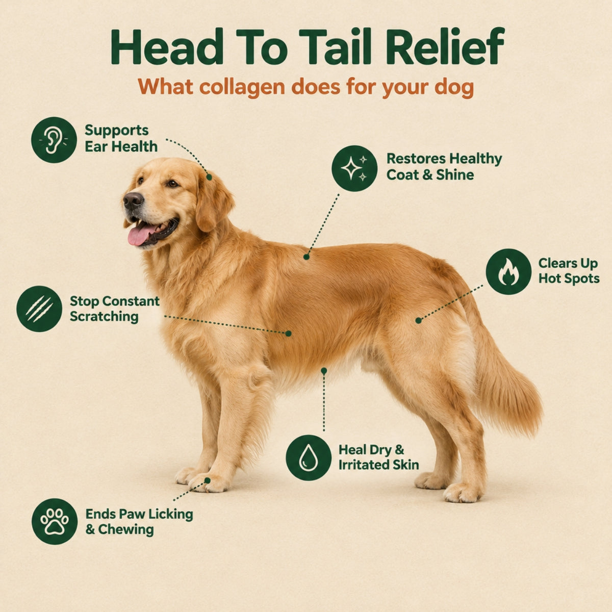 dog Collagen liquid drops