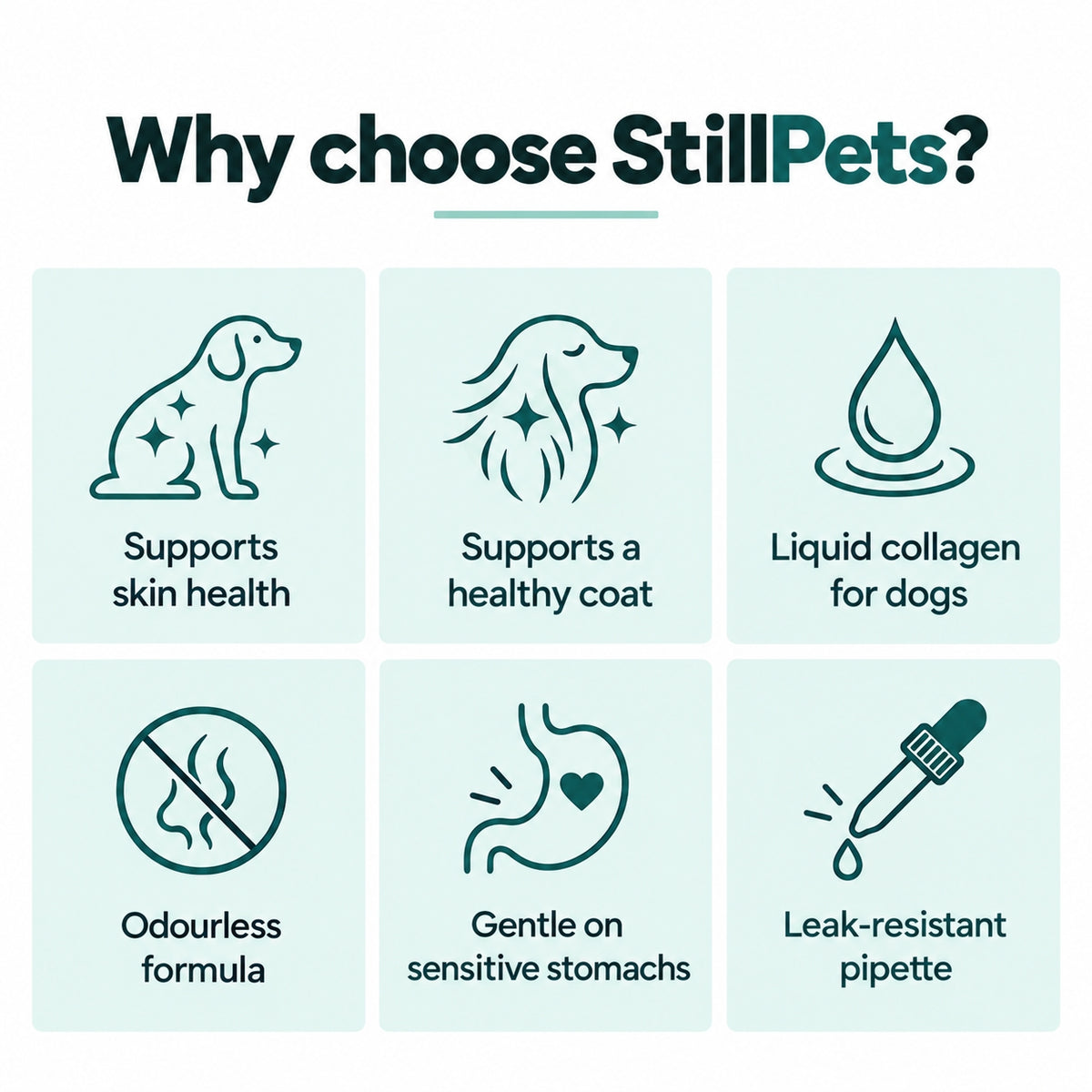 dog Collagen liquid drops