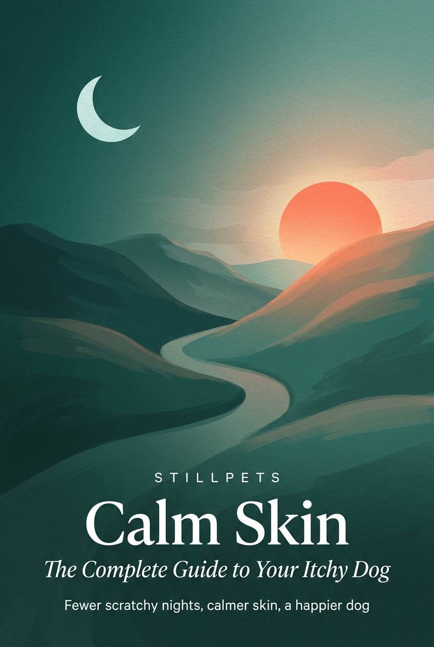 Calm Skin – The Complete Guide to Your Itchy Dog, StillPets e-book cover